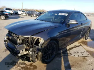 2016 BMW 2 Series 228i with VIN WBA1F9C55GV546771, listed as a Copart auction lot 38291464 with 116,803 mi miles. Bid and sale history available at carsss.com. Image 1.