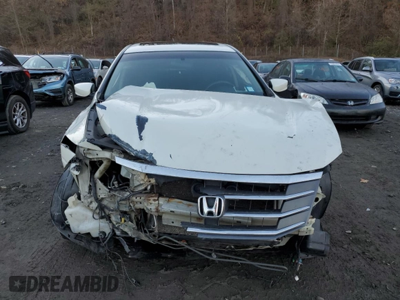 2010 Honda Accord Crosstour EX with VIN 5J6TF1H38AL009880, listed as a Copart auction lot 79829274 with 126,000 mi miles and Salvage Title. Bid and sale history available at carsss.com. Image 5.