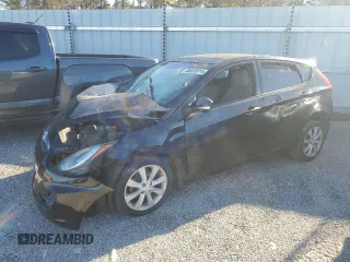 2013 Hyundai Accent SE with VIN KMHCU5AE1DU130498, listed as a Copart auction lot 48316105 with 0 mi miles and Salvage Title. Bid and sale history available at carsss.com. Image 1.