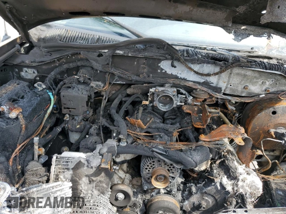 2003 Ford F-150 XL with VIN 1FTRX18L73NA54393, listed as a Copart auction lot 54550175 with Not provided miles and Non repairable. Bid and sale history available at DreamBid. Image 11.