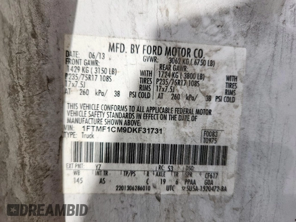 2013 Ford F-150 XL with VIN 1FTMF1CM9DKF31731, listed as a Copart auction lot 61798665 with 114,007 mi miles and Salvage title. Bid and sale history available at DreamBid. Image 12.
