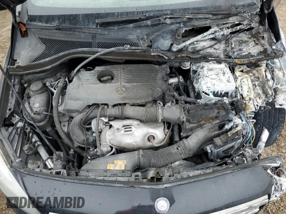 2014 Mercedes-Benz B 250 Sports Tourer with VIN WDDMH4EB9EJ187676, listed as a Copart auction lot 48683595 with Not Provided miles and Non Repairable. Bid and sale history available at DreamBid. Image 11.