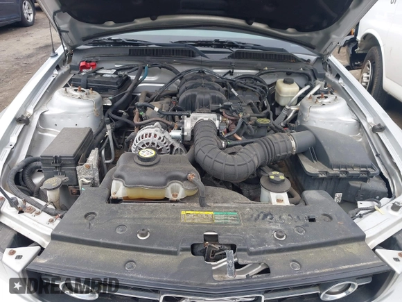 2008 Ford Mustang Deluxe with VIN 1ZVHT80N785160327, listed as a IAAI auction lot 42547909 with 113,654 mi miles and . Bid and sale history available at DreamBid. Image 10.