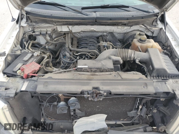 2013 Ford F-150 XL с VIN 1FTNF1CF9DKD70142, выставлен на аукционе Copart как лот 48891475 с пробегом 254 597 миль миль и Списание • Salvage title. История ставок и продаж доступна на DreamBid. Изображение 11.