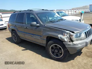 1999 Jeep Grand Cherokee Laredo z VIN 1J4G258S7XC656551, wystawiony jako IAAI lot #42182464 z przebiegiem 230 709 mil mil oraz . Historia ofert i sprzedaży dostępna na DreamBid. Obrazek 1.