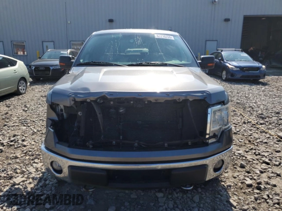 2010 Ford F-150 XL с VIN 1FTFW1EV6AFD75232, выставлен на аукционе Copart как лот 63210755 с пробегом 224 424 миль миль и Чистый • Clean title. История ставок и продаж доступна на DreamBid. Изображение 5.