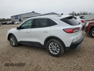 2022 Ford Escape SE with VIN 1FMCU9G61NUB14505, listed as a Copart auction lot 50307425 with 8,265 mi miles and Salvage title. Bid and sale history available at DreamBid. Image 2.