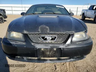 1999 Ford Mustang with VIN 1FAFP4048XF153206, listed as a Copart auction lot 45626205 with Not provided miles and Salvage title. Bid and sale history available at DreamBid. Image 5.