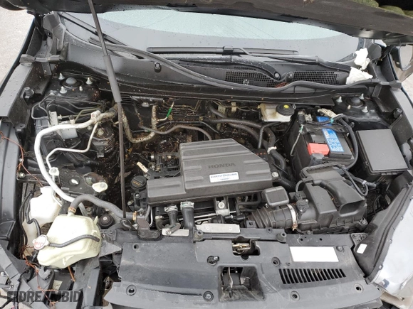 2020 Honda CR-V LX with VIN 2HKRW2H25LH647203, listed as a Copart auction lot 49377655 with 0 mi miles and Salvage Title. Bid and sale history available at carsss.com. Image 13.