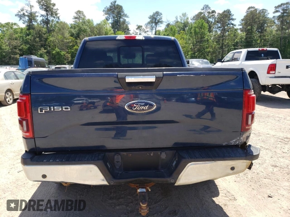 2017 Ford F-150 XL with VIN 1FTEW1EG2HKD66347, listed as a Copart auction lot 53295145 with 134,281 mi miles and Clean Title. Bid and sale history available at carsss.com. Image 6.