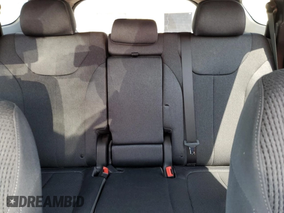 2019 Hyundai Santa Fe SE with VIN 5NMS23AD9KH017324, listed as a Copart auction lot 53665165 with 120,032 mi miles and Salvage title. Bid and sale history available at DreamBid. Image 10.