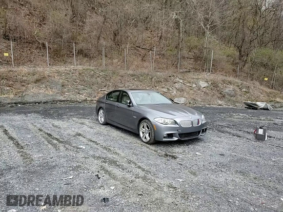 2013 BMW 5 Series 550i xDrive with VIN WBAFU9C52DDY70256, listed as a Copart auction lot 53100075 with 176,876 mi miles and Salvage Title. Bid and sale history available at carsss.com. Image 13.