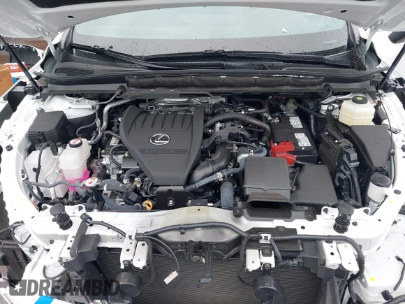 2024 Lexus RX 350 with VIN 2T2BAMBA9RC028882, listed as a IAAI auction lot 41038258 with 2,854 mi miles and . Bid and sale history available at DreamBid. Image 10.