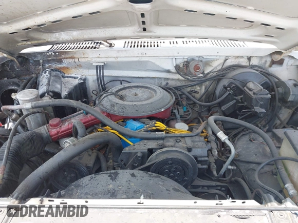 1981 Ford Bronco with VIN 1FMDU15GXBLA04667, listed as a IAAI auction lot 42564029 with 8,852 mi miles and . Bid and sale history available at DreamBid. Image 10.