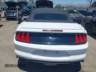 2019 Ford Mustang EcoBoost with VIN 1FATP8UH3K5131488, listed as a IAAI auction lot 42620257 with 60,333 mi miles and . Bid and sale history available at DreamBid. Image 16.