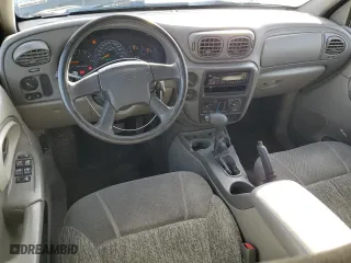 2002 Chevrolet TrailBlazer LS with VIN 1GNDT13S522387218, listed as a Copart auction lot 49256745 with 260,199 mi miles and Salvage Title. Bid and sale history available at carsss.com. Image 8.