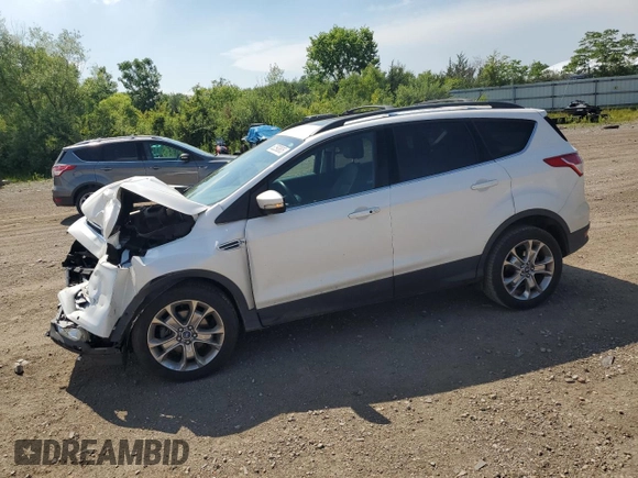 2013 Ford Escape SEL with VIN 1FMCU0HX4DUA84806, listed as a Copart auction lot 62593805 with 107,147 mi miles and Salvage title. Bid and sale history available at DreamBid. Image 1.