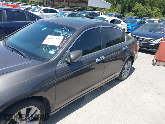 2011 Honda Accord EX-L with VIN 1HGCP3F8XBA030192, listed as a IAAI auction lot 42847430 with Not provided miles and . Bid and sale history available at DreamBid. Image 13.