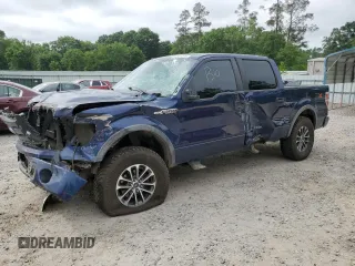 2009 Ford F-150 XL with VIN 1FTPW14V99FB30359, listed as a Copart auction lot 54504325 with 265,064 mi miles and Salvage title. Bid and sale history available at DreamBid. Image 1.