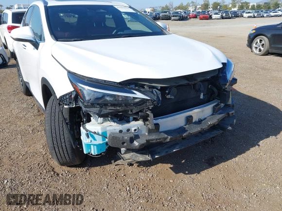 2024 Lexus NX 350h Premium z VIN JTJGKCEZXR5013787, wystawiony jako IAAI lot #42161932 z przebiegiem 19 251 mil mil oraz . Historia ofert i sprzedaży dostępna na DreamBid. Obrazek 6.