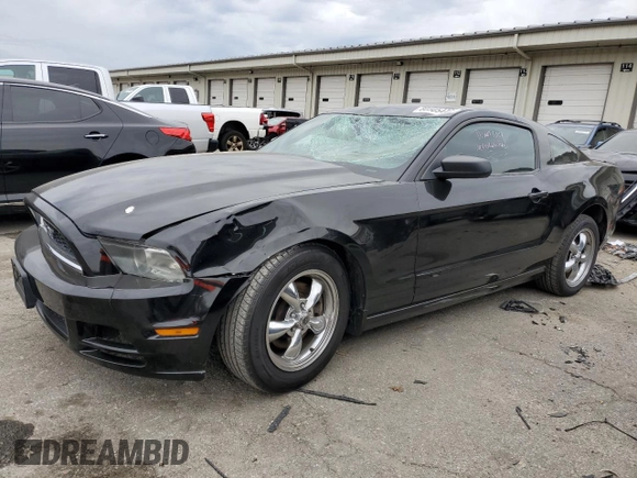 2013 Ford Mustang V6 with VIN 1ZVBP8AM7D5207785, listed as a Copart auction lot 80505444 with 180,901 mi miles and Salvage title. Bid and sale history available at DreamBid. Image 1.