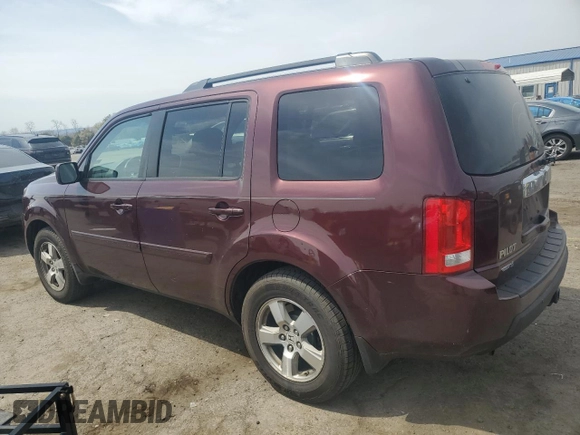 2009 Honda Pilot EX with VIN 5FNYF48469B011311, listed as a Copart auction lot 53736235 with 213,133 mi miles and Salvage Title. Bid and sale history available at DreamBid. Image 2.