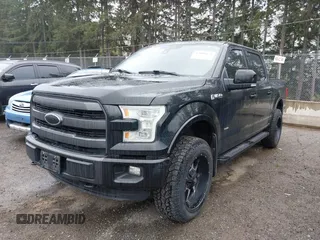 2015 Ford F-150 XLT with VIN 1FTEW1EG9FFB36102, listed as a IAAI auction lot 42008173 with 379,108 mi miles. Bid and sale history available at carsss.com. Image 18.