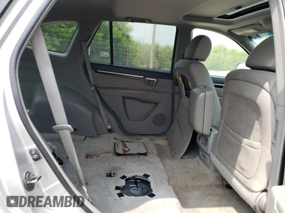2007 Hyundai Santa Fe GLS with VIN 5NMSG73D17H082911, listed as a Copart auction lot 60974815 with 185,260 mi miles and Clean title. Bid and sale history available at DreamBid. Image 10.