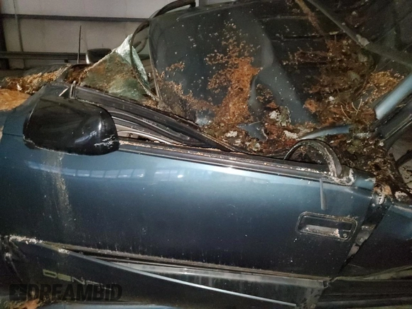 1999 GMC Denali z VIN 1GKEK13R5XR918465, wystawiony jako Copart lot #83269184 z przebiegiem Nie podano mil oraz Nie do naprawy. Historia ofert i sprzedaży dostępna na DreamBid. Obrazek 7.