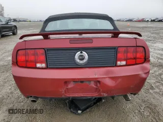 2009 Ford Mustang GT with VIN 1ZVHT85H395116989, listed as a Copart auction lot 44259475 with 98,104 mi miles and Salvage title. Bid and sale history available at DreamBid. Image 6.