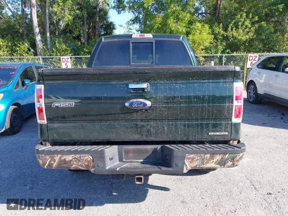 2013 Ford F-150 XL with VIN 1FTFW1EF3DFC91740, listed as a IAAI auction lot 41846989 with 152,912 mi miles. Bid and sale history available at carsss.com. Image 16.