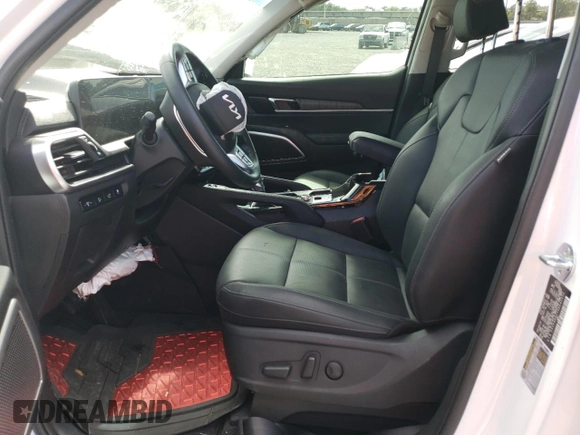 2024 Kia Telluride EX with VIN 5XYP3DGC1RG442032, listed as a Copart auction lot 75420063 with Not Provided miles and Non Repairable. Bid and sale history available at carsss.com. Image 7.