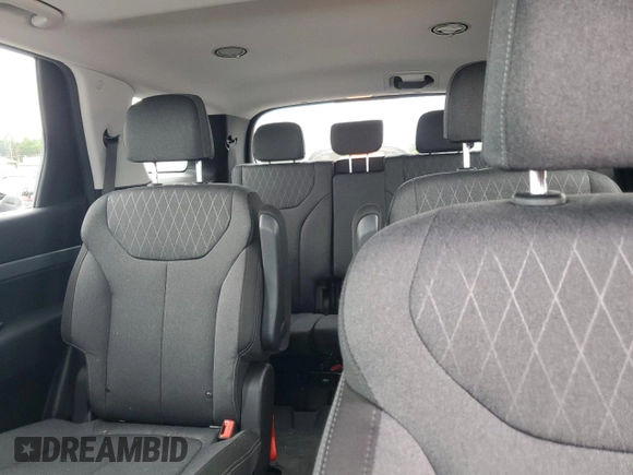 2020 Hyundai Palisade SEL with VIN KM8R2DHE5LU088545, listed as a Copart auction lot 60095485 with 55,331 mi miles and Salvage title. Bid and sale history available at DreamBid. Image 10.