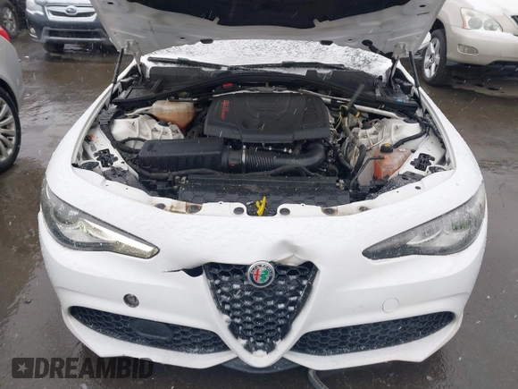 2017 Alfa Romeo Giulia with VIN ZARFAEBN5H7540188, listed as a IAAI auction lot 41619098 with 106,512 mi miles. Bid and sale history available at carsss.com. Image 10.