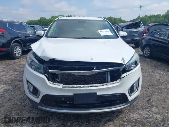 2017 Kia Sorento EX with VIN 5XYPH4A59HG300957, listed as a IAAI auction lot 42215684 with 220,309 mi miles and . Bid and sale history available at DreamBid. Image 12.