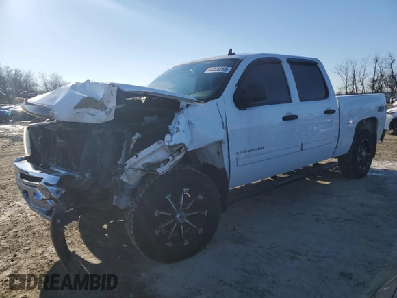 2013 Chevrolet Silverado 1500 LT with VIN 3GCPKSE71DG149447, listed as a Copart auction lot 44828265 with 231,538 mi miles and Salvage Title. Bid and sale history available at DreamBid. Image 1.
