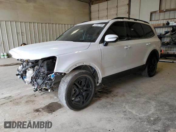 2024 Kia Telluride EX X-Line with VIN 5XYP3DGC1RG520082, listed as a Copart auction lot 53467105 with 20,251 mi miles and Salvage title. Bid and sale history available at DreamBid. Image 1.