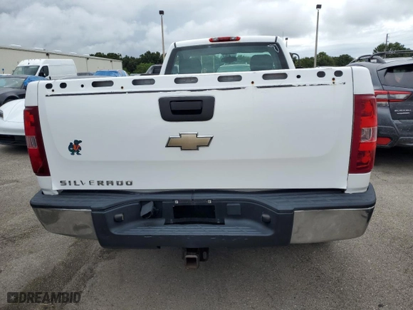 2009 Chevrolet Silverado 1500 Work Truck with VIN 1GCEK14CX9Z159580, listed as a Copart auction lot 74244694 with 0 mi miles and Salvage Title. Bid and sale history available at carsss.com. Image 6.