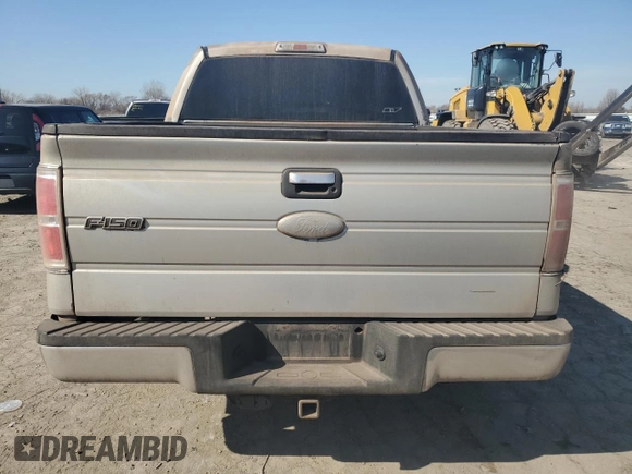 2010 Ford F-150 XL with VIN 1FTEW1C82AFD04120, listed as a Copart auction lot 48870955 with 209,719 mi miles and Salvage Title. Bid and sale history available at carsss.com. Image 6.