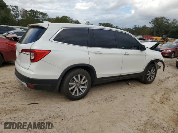 2019 Honda Pilot EX-L with VIN 5FNYF5H43KB007793, listed as a Copart auction lot 80502344 with 105,475 mi miles and Non repairable. Bid and sale history available at DreamBid. Image 3.