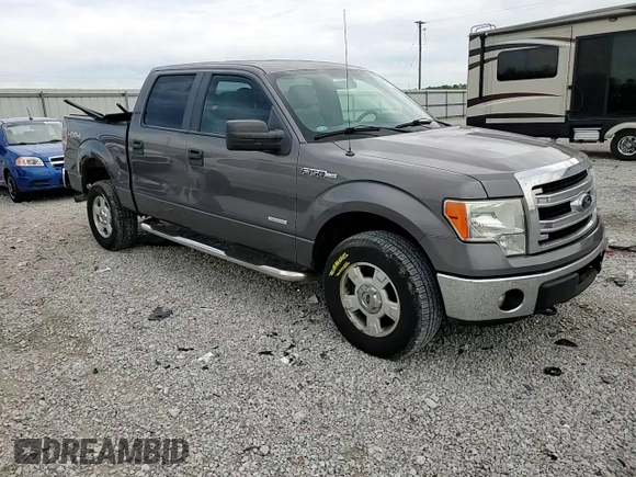 2013 Ford F-150 XL with VIN 1FTFW1ET4DKF81269, listed as a Copart auction lot 55813125 with 158,729 mi miles and Salvage title. Bid and sale history available at DreamBid. Image 13.