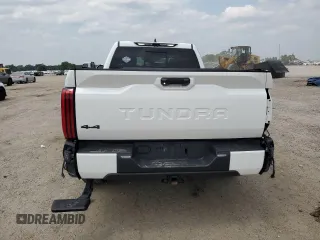 2022 Toyota Tundra SR5 with VIN 5TFLA5DA5NX031981, listed as a Copart auction lot 58728245 with 49,022 mi miles and Salvage title. Bid and sale history available at DreamBid. Image 6.