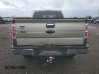 2009 Ford F-150 XL with VIN 1FTRW14869FA71127, listed as a Copart auction lot 81552544 with Not provided miles and Salvage title. Bid and sale history available at DreamBid. Image 6.