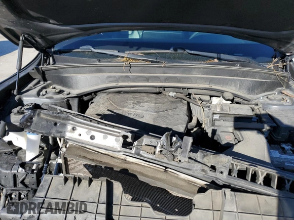 2020 Kia Telluride EX with VIN 5XYP34HC9LG059140, listed as a Copart auction lot 80304704 with 117,895 mi miles and Salvage Title. Bid and sale history available at DreamBid. Image 13.