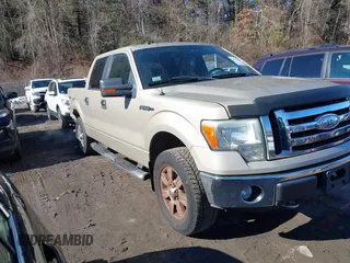 2009 Ford F-150 XL z VIN 1FTRW14819FB36787, wystawiony jako IAAI lot #41471592 z przebiegiem 139 605 mil mil oraz . Historia ofert i sprzedaży dostępna na DreamBid. Obrazek 1.