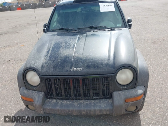 2002 Jeep Liberty Sport with VIN 1J4GL48K02W313000, listed as a IAAI auction lot 41837671 with 168,362 mi miles. Bid and sale history available at carsss.com. Image 6.