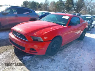 2014 Ford Mustang V6 with VIN 1ZVBP8AM4E5253432, listed as a IAAI auction lot 41316963 with 145,150 mi miles and . Bid and sale history available at carsss.com. Image 2.
