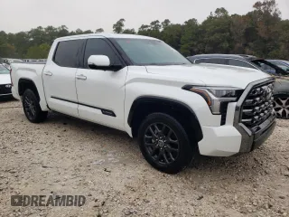 2022 Toyota Tundra 2WD Platinum with VIN 5TFNA5AB6NX003726, listed as a Copart auction lot 69110202 with 5,665 mi miles. Bid and sale history available at carsss.com. Image 4.