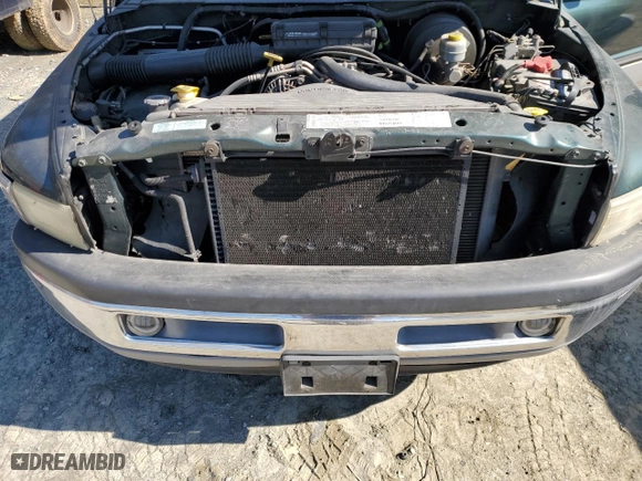 2001 Dodge Ram 1500 with VIN 3B7HF13Y11G776367, listed as a Copart auction lot 46263825 with 168,376 mi miles and Salvage Title. Bid and sale history available at carsss.com. Image 11.