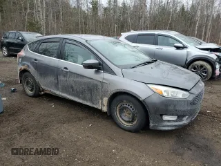 2012 Ford Focus SEL with VIN 1FAHP3M28CL149020, listed as a Copart auction lot 50631395 with 67,368 mi miles and Clean Title. Bid and sale history available at carsss.com. Image 4.